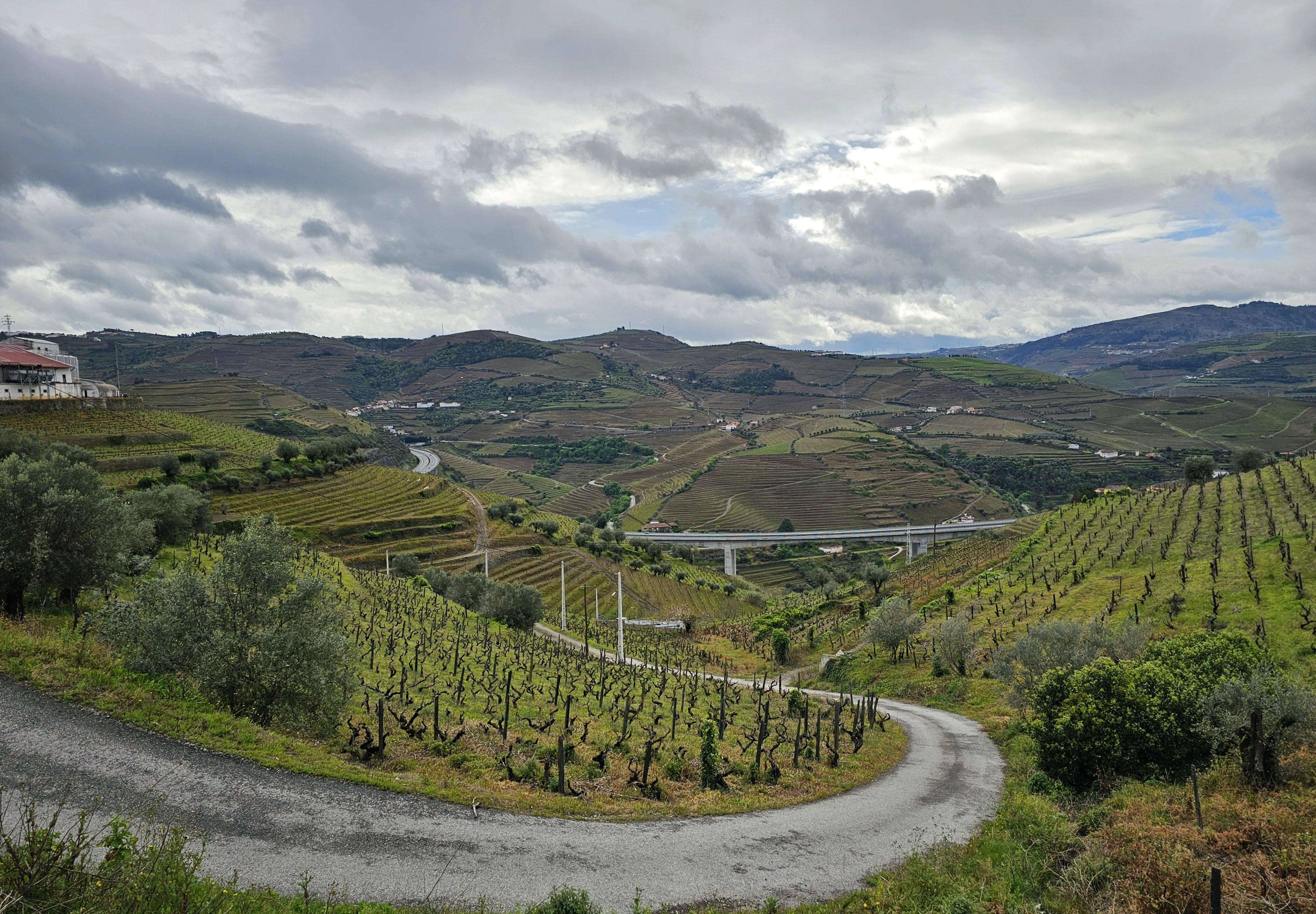 Douro